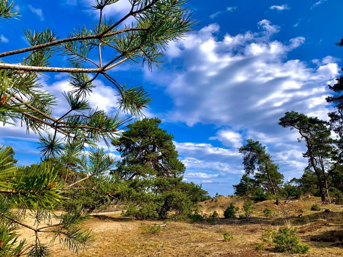 Zonnebos, Private Garden, Fresh Air, Relax! Βίλα Otterlo Εξωτερικό φωτογραφία
